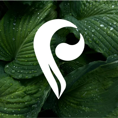 Empresa